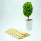 Wooden Bbq Skewers Vietnam And Cocktail Stick Set Bamboo Knot Skewer with Custom Logo