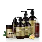 Shampoo The Shampoo 500ml Premium Hair Growth Shampoo With Ginger Essence