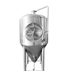 Brewing Equipment Brewery Tank CE Craft Beer Fermenting System