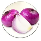 Exported Grade 50-70mm Red /Yellow Fresh Onions Farm Wholesale price