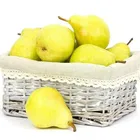 fresh ya pear&new crop&the most lowest price
