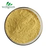 /product-detail/wellgreen-best-price-organic-water-soluble-dried-ginger-powder-60827326923.html
