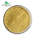 Wellgreen best price organic water soluble dried ginger powder