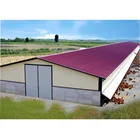 Automatic layer poultry cages with types of poultry house for a type poultry battery layer cages