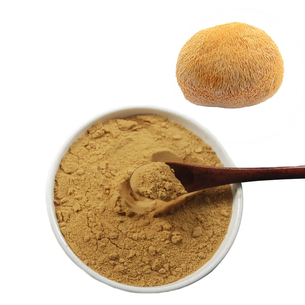 Plant Extract Organic Lions Mane Mushroom Extract Beta Glucan Terpenoid