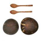 Home Fancy Handicraft Gift Set Customized Natural Coconut Shell Bowl With Spoon