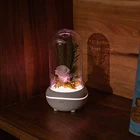 Romantic led light color cup usb mini essential oil diffuser aromatherapy lamp