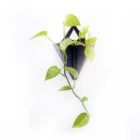 Flower Pots Home New Fashion Innovative Design Carbon Fiber Flower Plant Pots Wall Hanging Home Garden