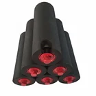 Carrying Roller 250W PVC Belt Electric Backwoods