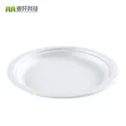 10 Inch Biodegradable Lunch Fashion Sugarcane Bagasse Plates