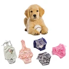 luxury Apparel costume rain coat Puppy dog hoodie