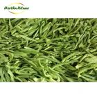 Wholesale frozen vegetables iqf fresh chili frozen red pepper