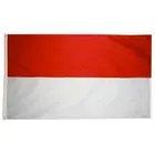 International Festival Sports Events Use Polyester Indonesia Country Flag