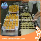 Japanese delicious takoyaki octopus ball