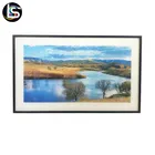 Hot Sale Hight Quality PET Plastic 3D Printing Lenticular Natural Pictures For Decoration
