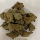 Hot Selling Natural Gallnut Extract Powder