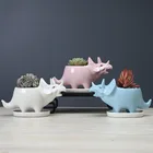 Ceramic Pot Supply Amazon Nordic Triceratops Succulents Ceramic Flower Pot Indoor Tabletop Garden Decoration Belt Tray