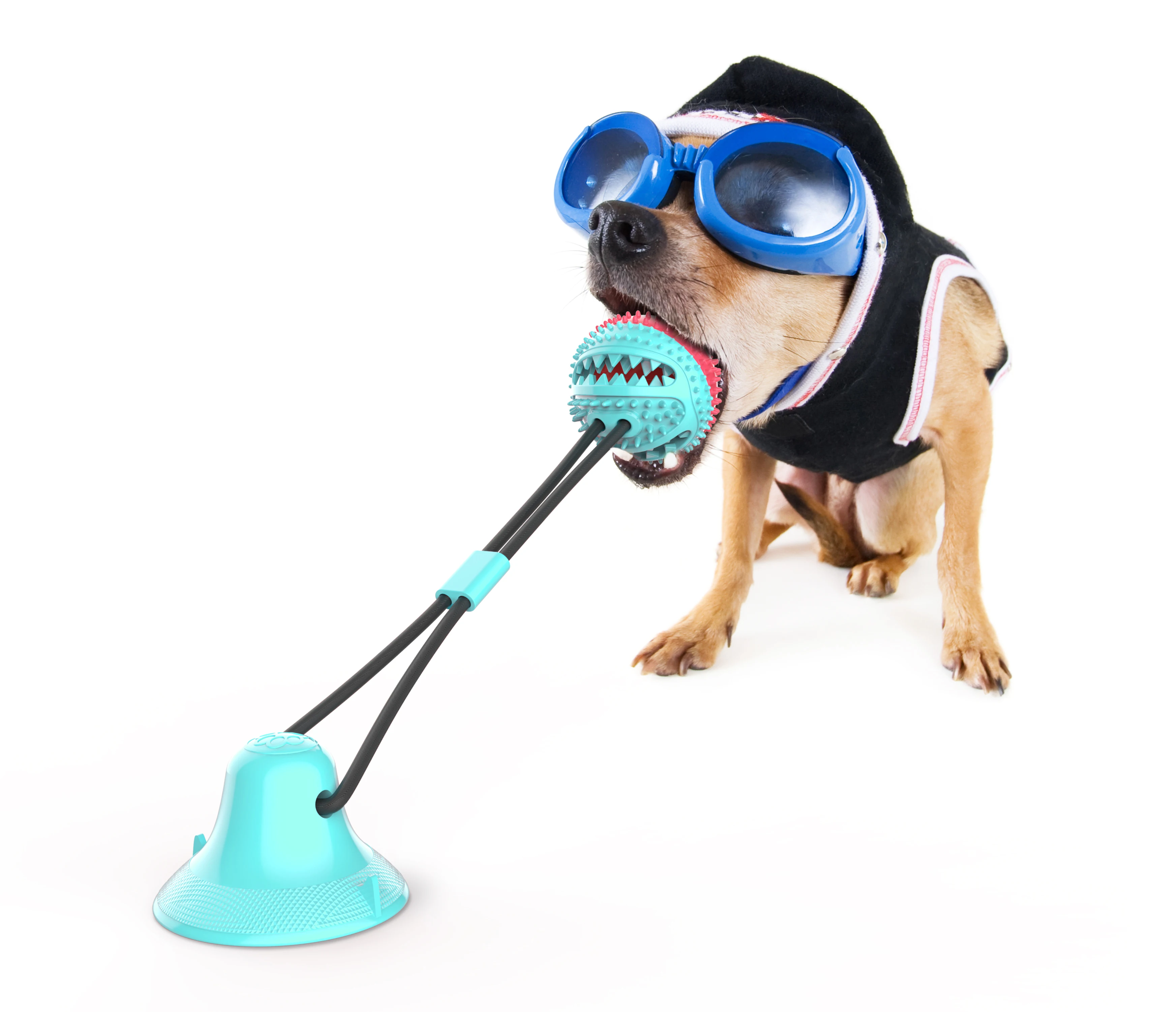suction cup ball dog toy