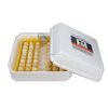 /product-detail/lk-55pcs-mini-incubator-foam-automatic-incubator-62306179243.html