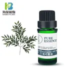Eucalyptus Oil Globulus Bulk Fragrance Oil Manufacturers