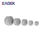 Steel Cap Thread Casting Female Connector Stainless Steel Plumb End Hex Cap
