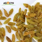 AGOLYN Top Grade Jumbo Dried Fruits Golden /Green/Black/Red Raisin For Sale