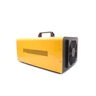 Generator For 16000mg/h Portable Ozone Generator Suitable For Hotel Disinfection