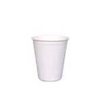 Cup Biodegradable Sugar Cane Cup With Lid Disposable Compostable Coffee Cup