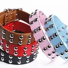 Double row mushroom nail pet collar rivet dog collar