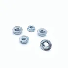 1/4 American Hex Trapezoidal Flange Nuts Bolt Covers Nut
