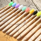 Wholesale Private Label Adults Oral Clean Antimicrobial Floss Bristle Silver Toothbrush