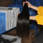 Wholesale top quality 100% unprocessed grade 10a silky straight double weft cuticle aligned raw virgin hair