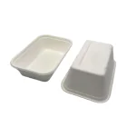 Plate Food Plate Biodegradable Disposable Sugarcane Pulp Lunch Box Biodegradable Bagasse Plate Tray Food Container