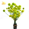 Real flower natural dry organic dried flower preserved flower