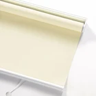 Hot Sell Roller Blind Curtains For Home And Office New Design Window Roll Curtains