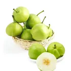 pears with thin skin and thick meat crisp sweet and juicy crisp pear organic pear
