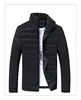 Direct factory waterproof thin hooded cotton goose down jacket winter coat for men