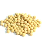 best price pure natural organic soybean protein