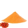 /product-detail/bulk-supply-top-quality-organic-goji-berry-powder-62371596333.html