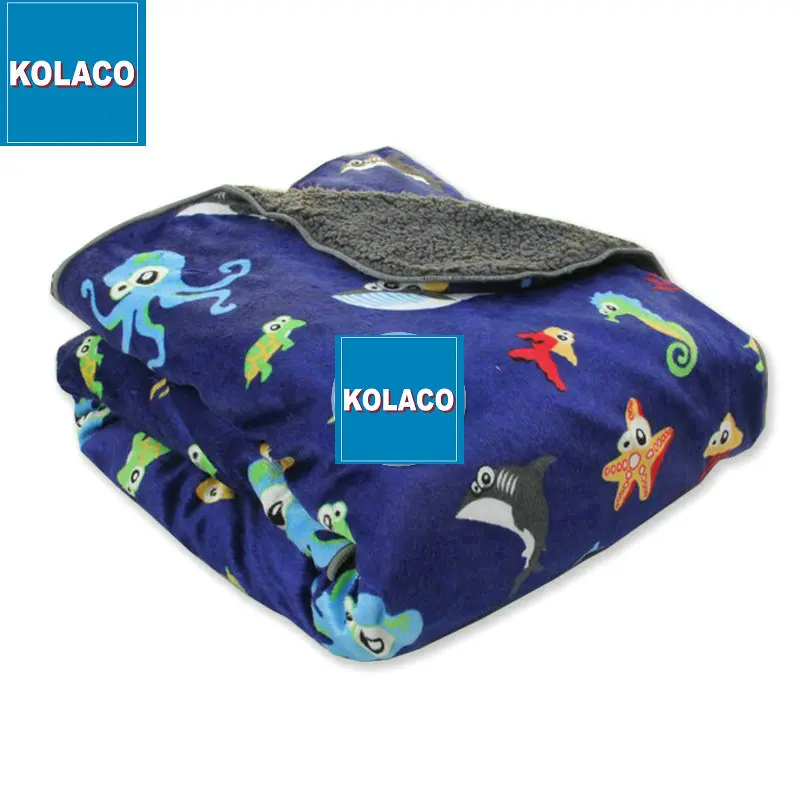 Manufacturer wholesale new children blanket cloud sable wool blanket kindergarten gift polyester gauze baby blanket