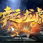 Casino Casino Machine Lucky Dragon Tiger Fish Hunter Machine Fantastic Ocean Fish Hunter Casino Machine Game System
