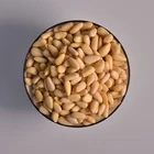 Pine Nut Organic Pine Nut Kernel Price / Chinese Pine Nut