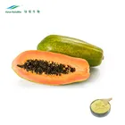 100% Pure Papaya Fruit Powder, Papaya Seed Powder, Papaya Leaf Powder