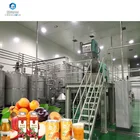 apricot/plum/peach fruit juice processing line