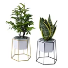 Cheap Succulent Pot Plants Modern Medium Size Cheap Succulent Pot With Flower Iron Fame For Garden Green Plants