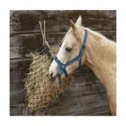 Horse Round Bale Hay Net Hay Bale Net Wrap Slow Feed Hay Net Horse Stall Equipment
