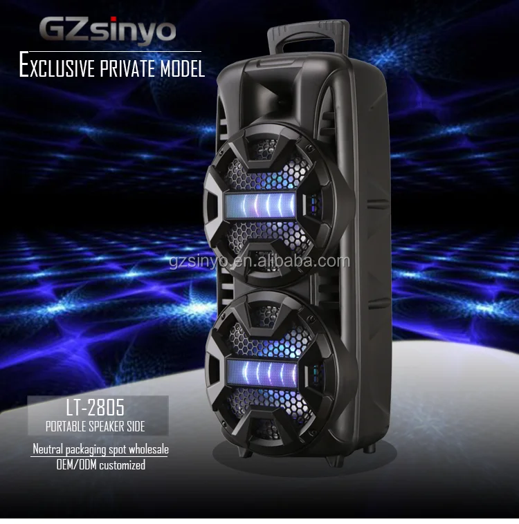 LT-2805 coloful lighting dual 8inch portable private battery speakers with BT/portable sound system - ANKUX.COM
