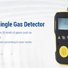 gas Detector for CO analyzer Handheld/Portable