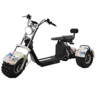 Electric 3 Electric 3 Wheel Citycoco Electric Scooter Tricycle 3 Wheel Motorcycle