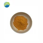 Pure Natural Turmeric Extract Powder Curcumin 95%